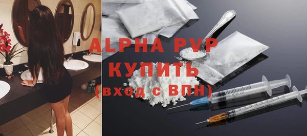 ECSTASY Белокуриха