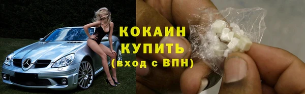 ECSTASY Белокуриха