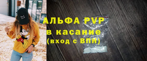 ECSTASY Белокуриха