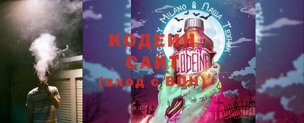 ECSTASY Белокуриха